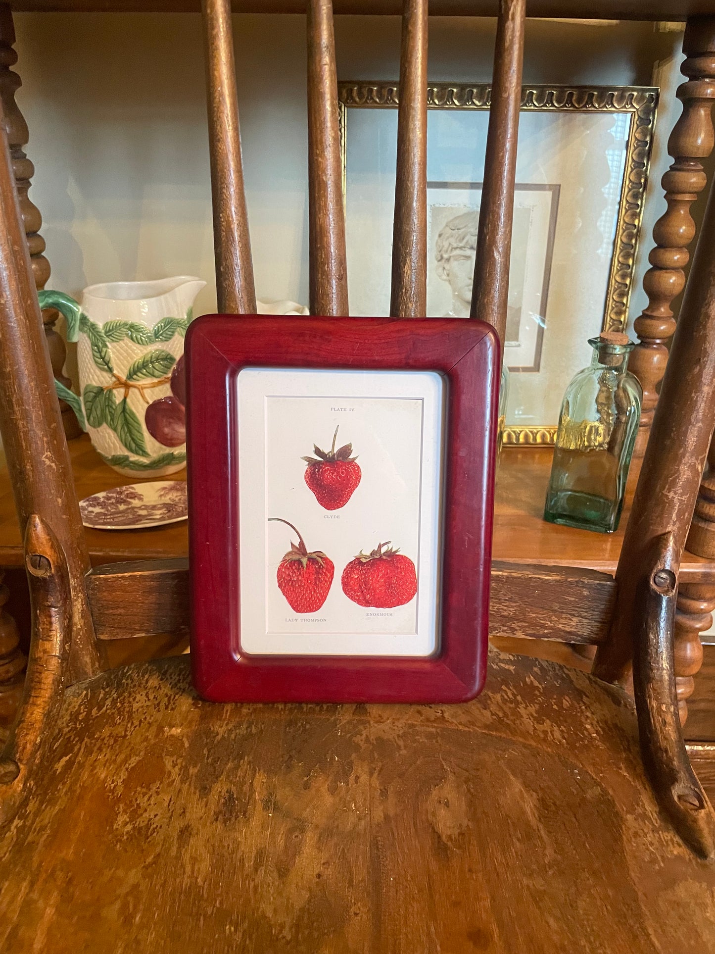 Retro Strawberry Print
