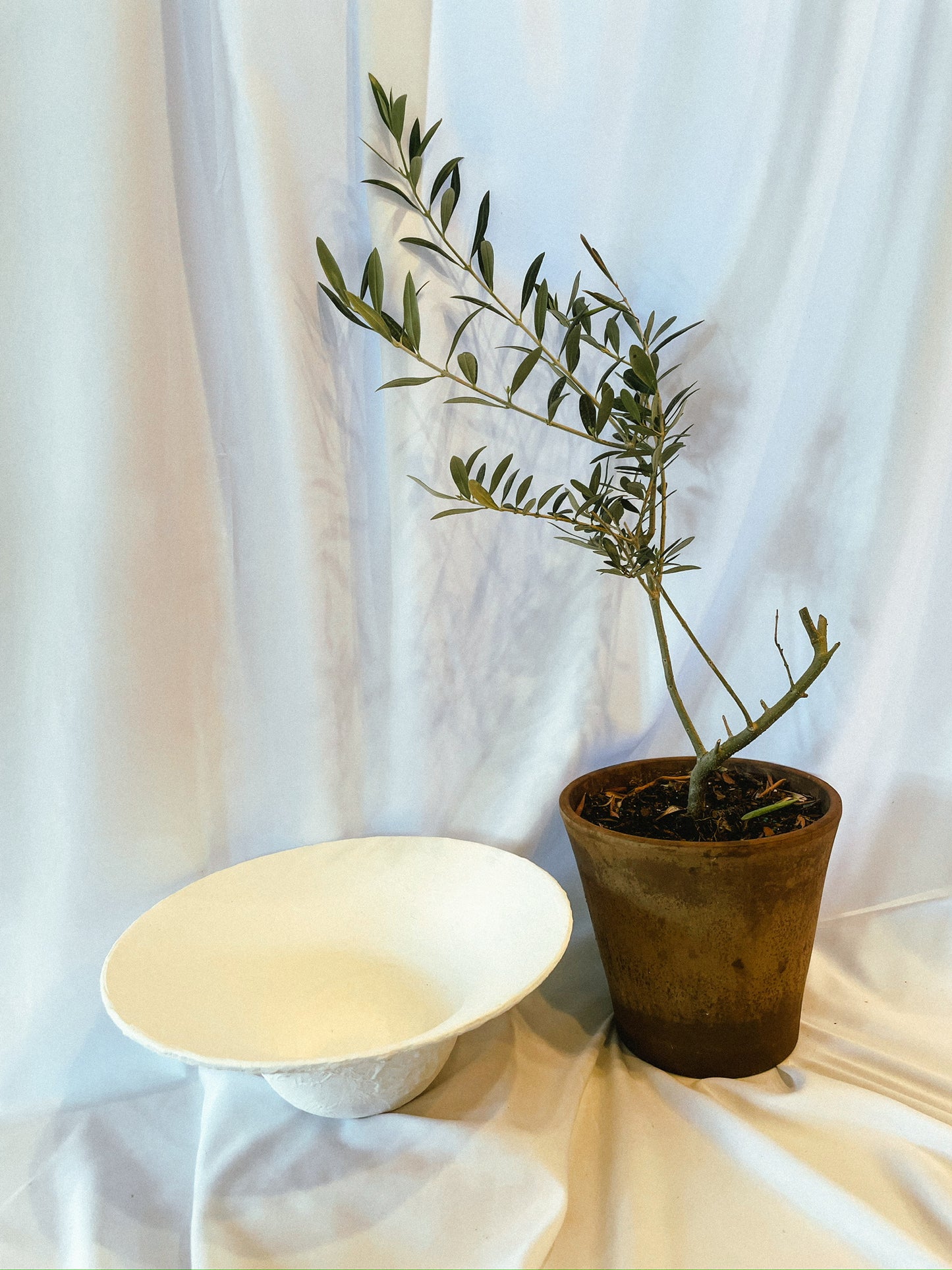 Textured White Low Centerpiece Bowl