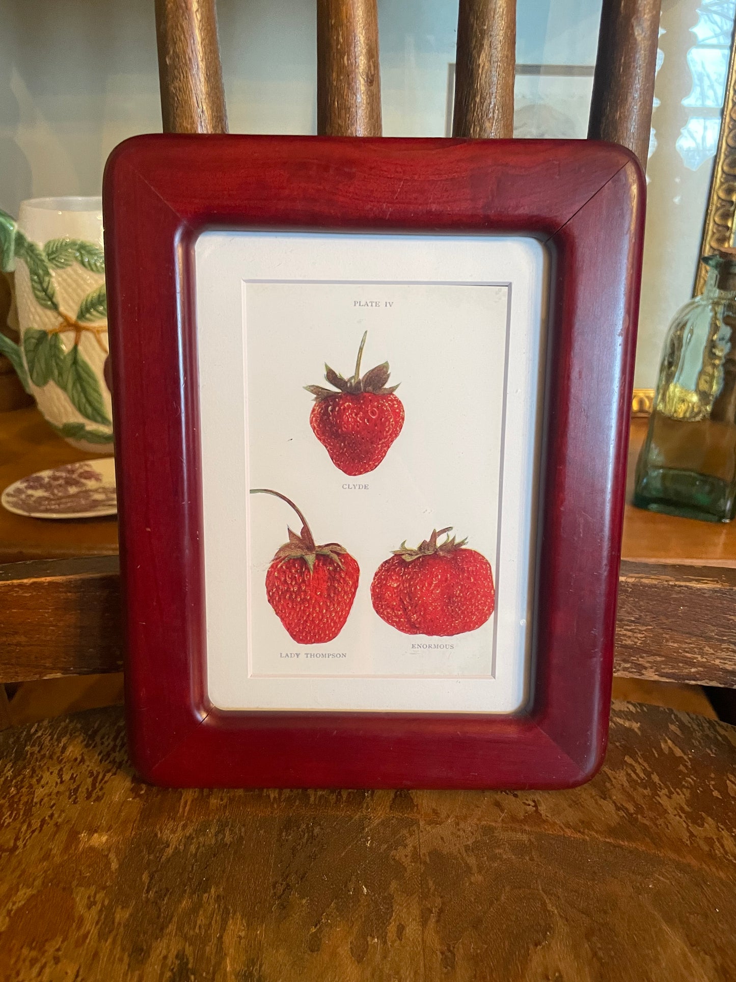 Retro Strawberry Print