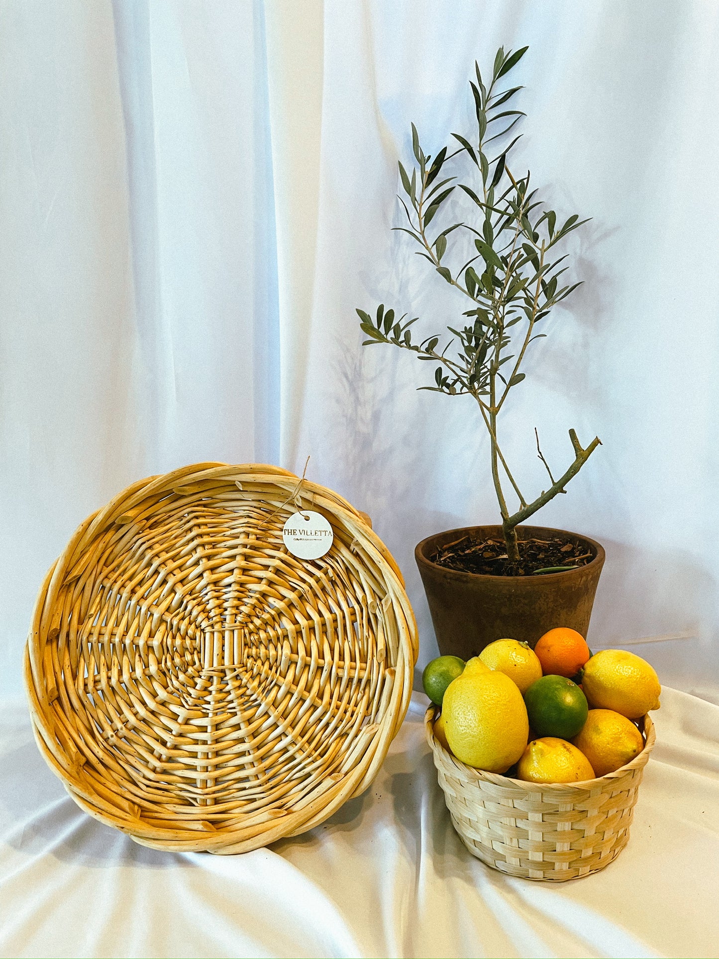 Wooden Handle Wicker Tray