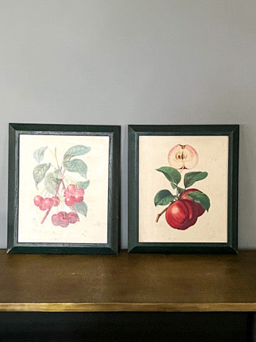 Vintage Fruit Prints