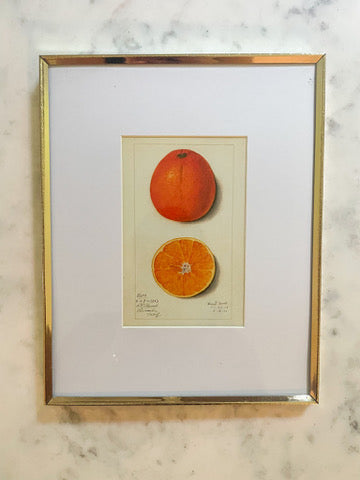 Orange Print in Vintage 8x10 Frame