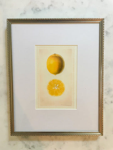 Lemon Print in 8x10 Vintage Frame