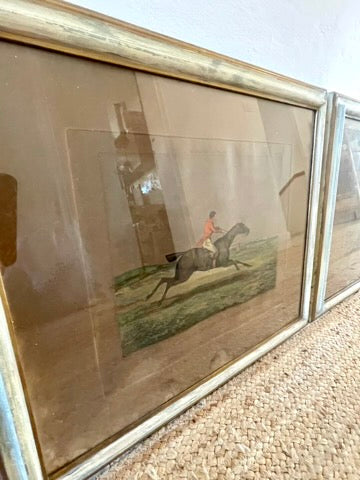 Italian Stallion Equestrian Art